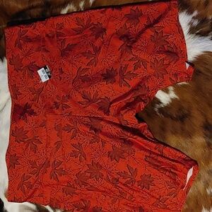 Eh! Shorts Sz 2X